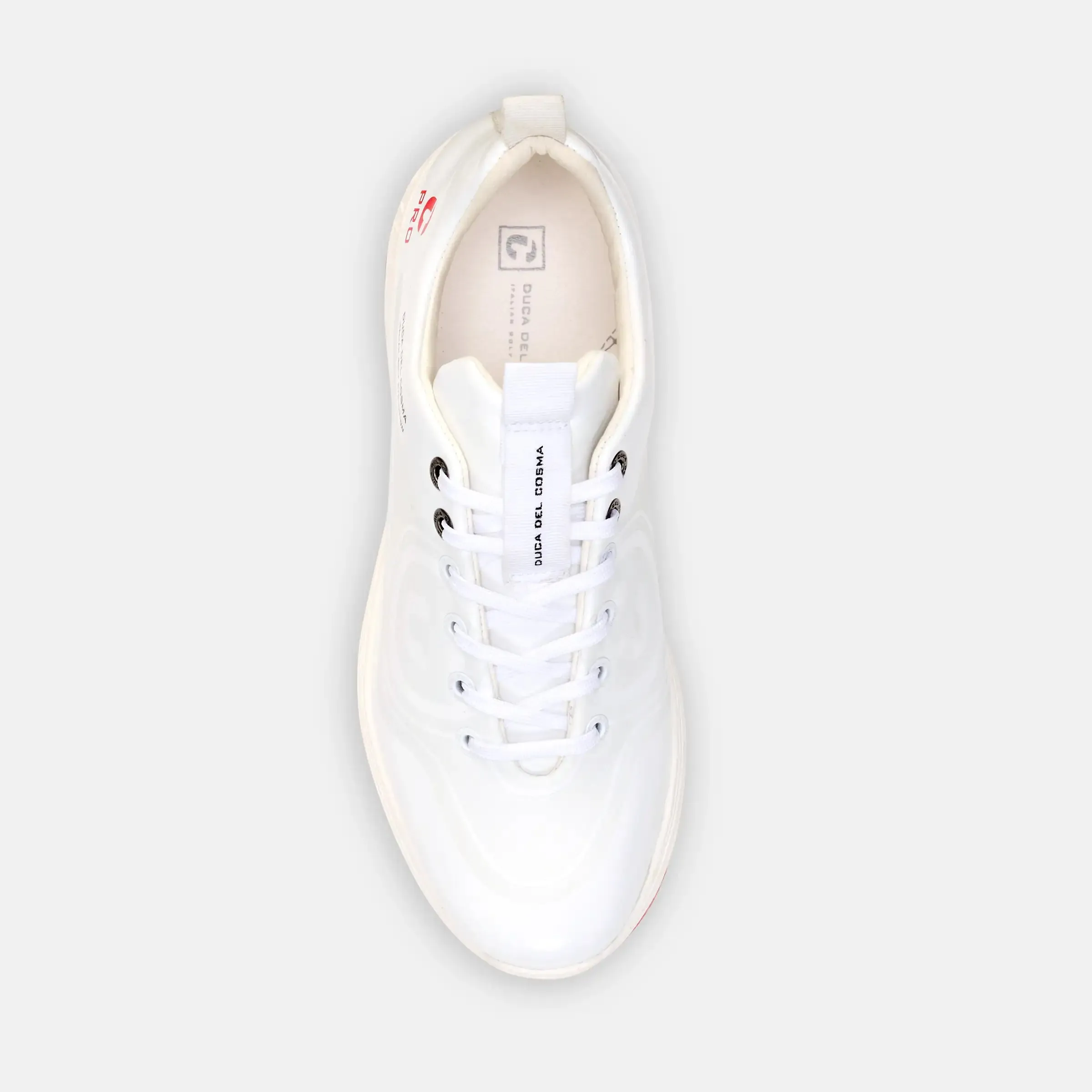 Avanti - White