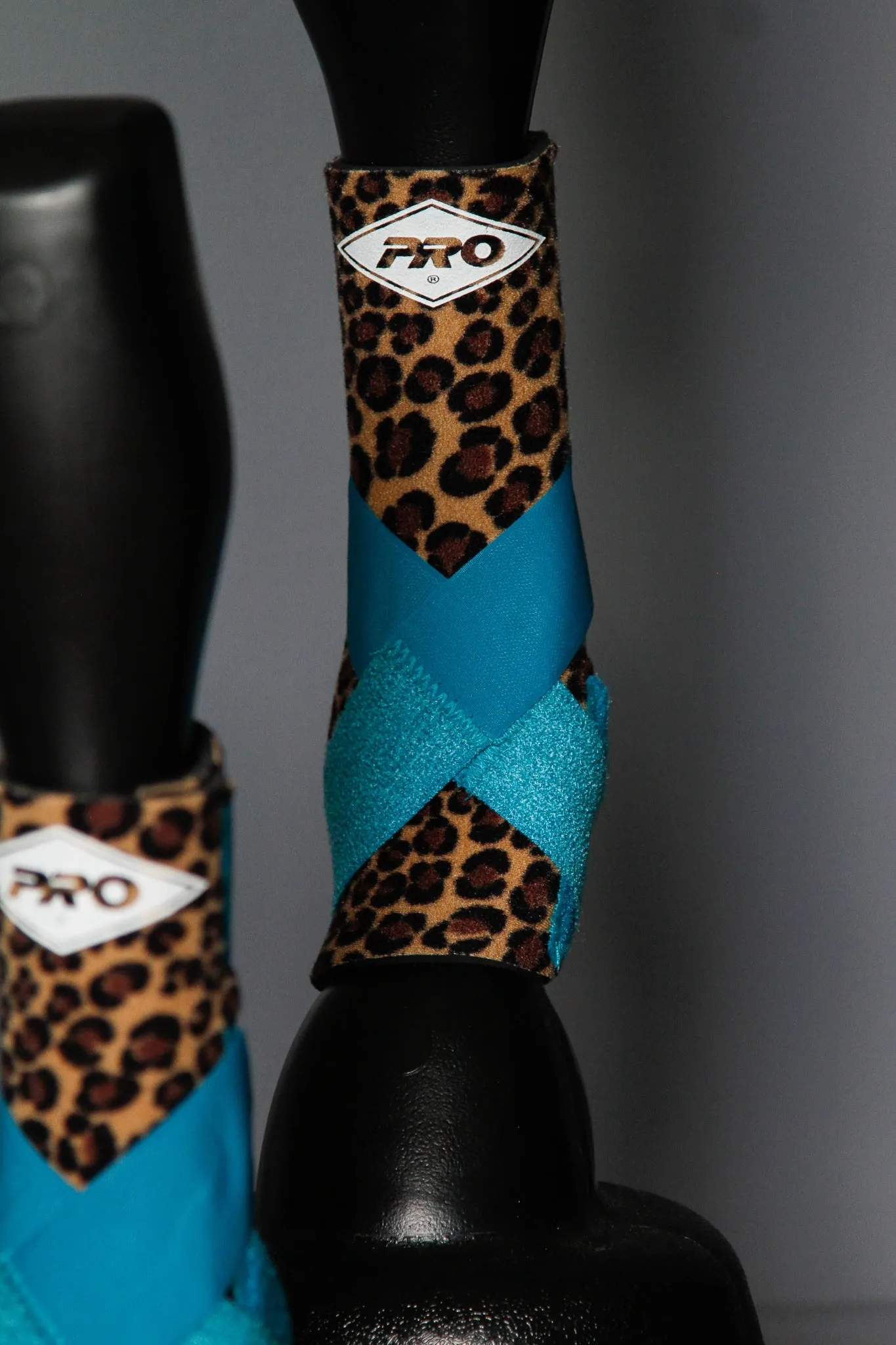 H20 Front & H20 Rear Cheetah Sports Support - Turquoise