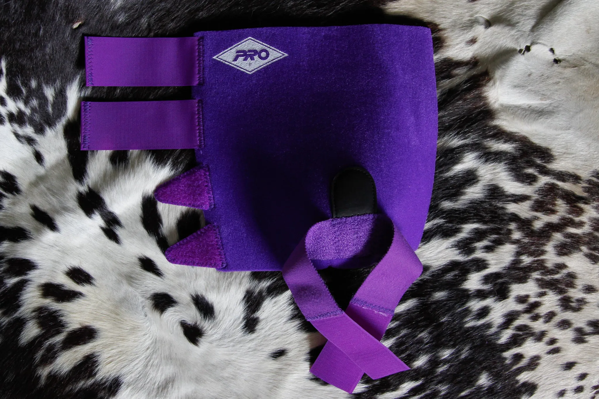 H20 Front - Purple Medium
